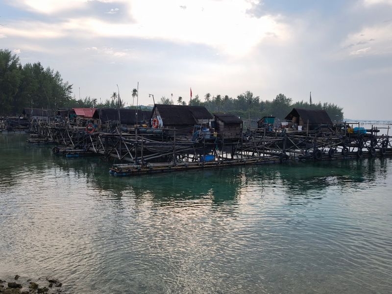 Trikora Dan Sekitarnya